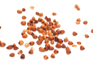 buckwheat on white background. close