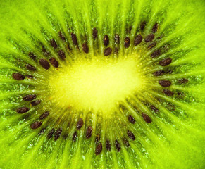 green kiwi  background