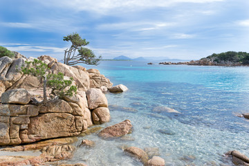 rocks and vegetation by the sea