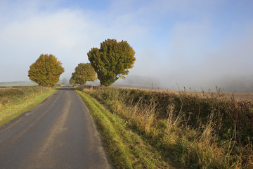 rising autumn mist