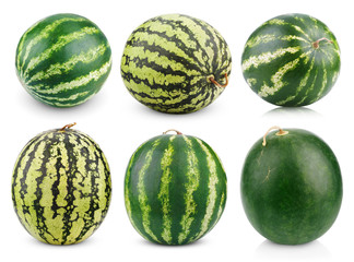 Set of watermelon fruits isolated on white background © Roman Samokhin