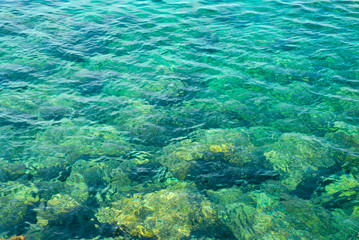 blue summer sea