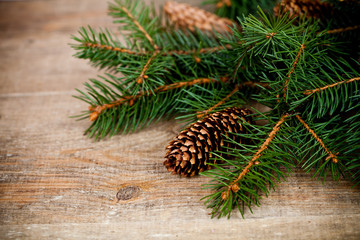 christmas fir tree with pinecones