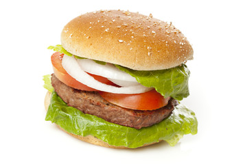 Homemade Organic Hamburger