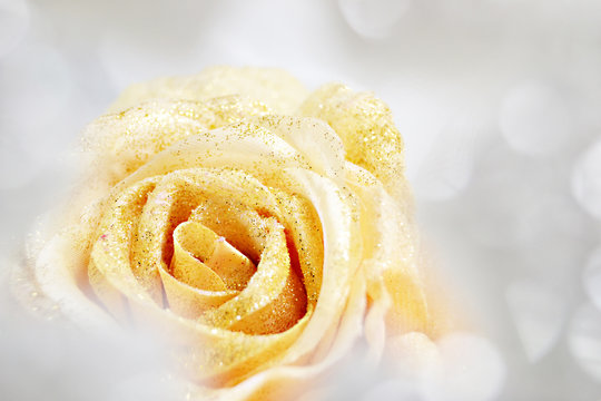 Eisrose