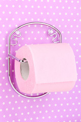 Roll of toilet paper on  holder fixed to wall