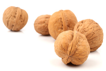 walnut