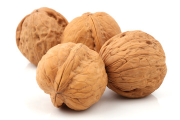 walnut
