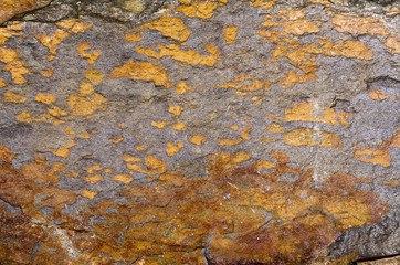 Orange Quartzite Rock