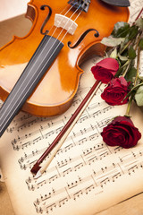 Beautiful roses and violin!