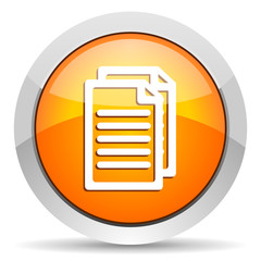 document icon