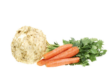 Celery and Carrot