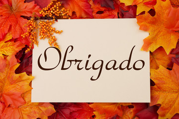 Obrigado card with fall leaves