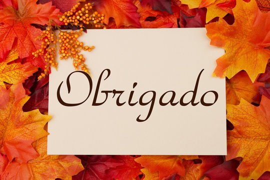 Obrigado card with fall leaves
