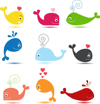 Cute Whale Cartoon Characters