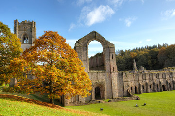 Fototapeta premium Ruins of the Fountains Abbey in North Yorkshire.