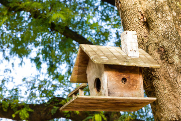 Wooden birdhouse