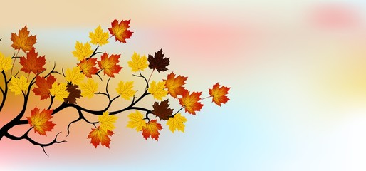 Naklejka na ściany i meble autumn tree