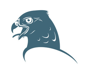 Falcon head