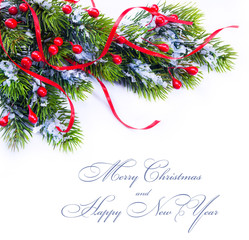 Christmas decoration tree branches on white background