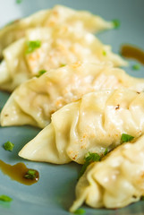 Gyoza on blue plate