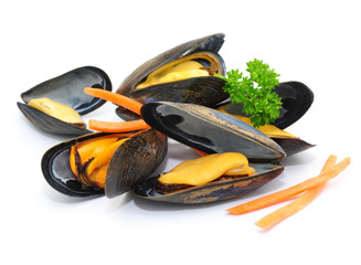 Muscheln