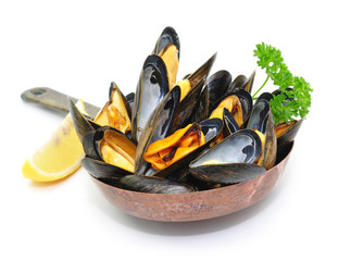 Zitrone, Muscheln