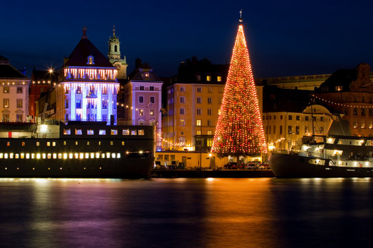 Christmas tree in Stockholm City at night.