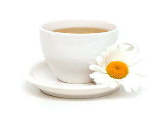 camomile tea isolated on white background