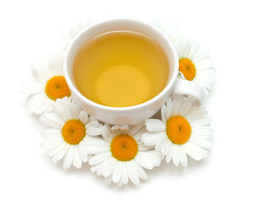 camomile tea isolated on white background