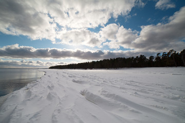 Fototapeta na wymiar Coast of Baltic sea in winter.