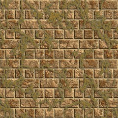 The wall covered with a lichen. Seamless texture.