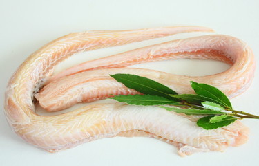 Obraz premium roussette,poisson