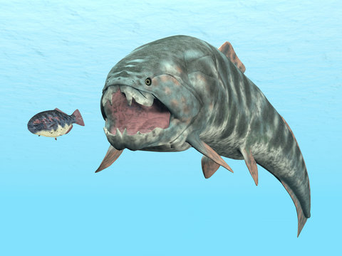 Dunkleosteus While Hunting