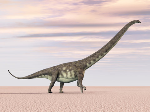 Dinosaurier Mamenchisaurus
