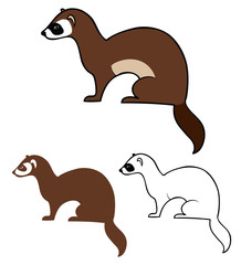 Ferret illustration