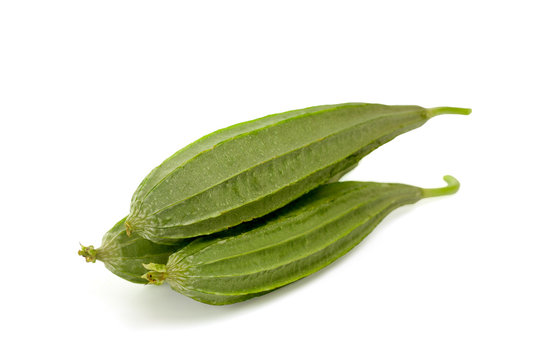 Ridge gourds