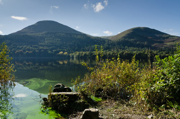 Loweswater algal bloom - Powered by Adobe