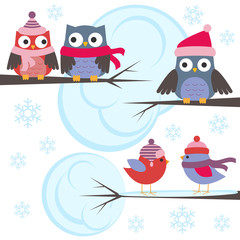 Obraz premium Owls and birds in winter forest