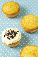 One frosted cupcake with three unfrosted