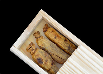 Korean red ginsengs in their box