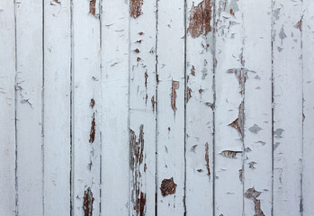 Paint wooden  background