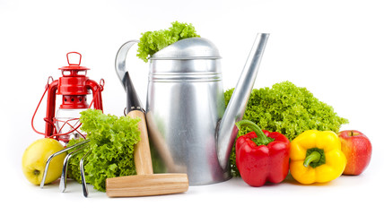 Garden tools and  fresh vegetables isolated on white