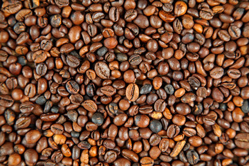 Coffee beans