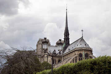 Fototapeta na wymiar Notre Damme Paris