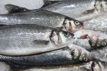 fresh fish on ice at market