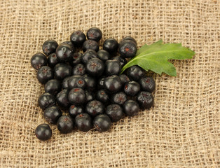 chokeberry with green leaf on sack background close-up