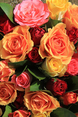 Mixed roses in yellow, red and orange