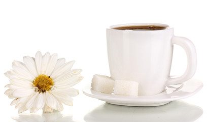 A cup of strong coffee isolated on white
