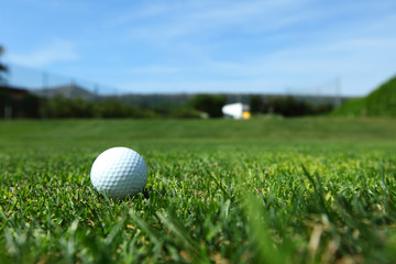 golf-ball on course